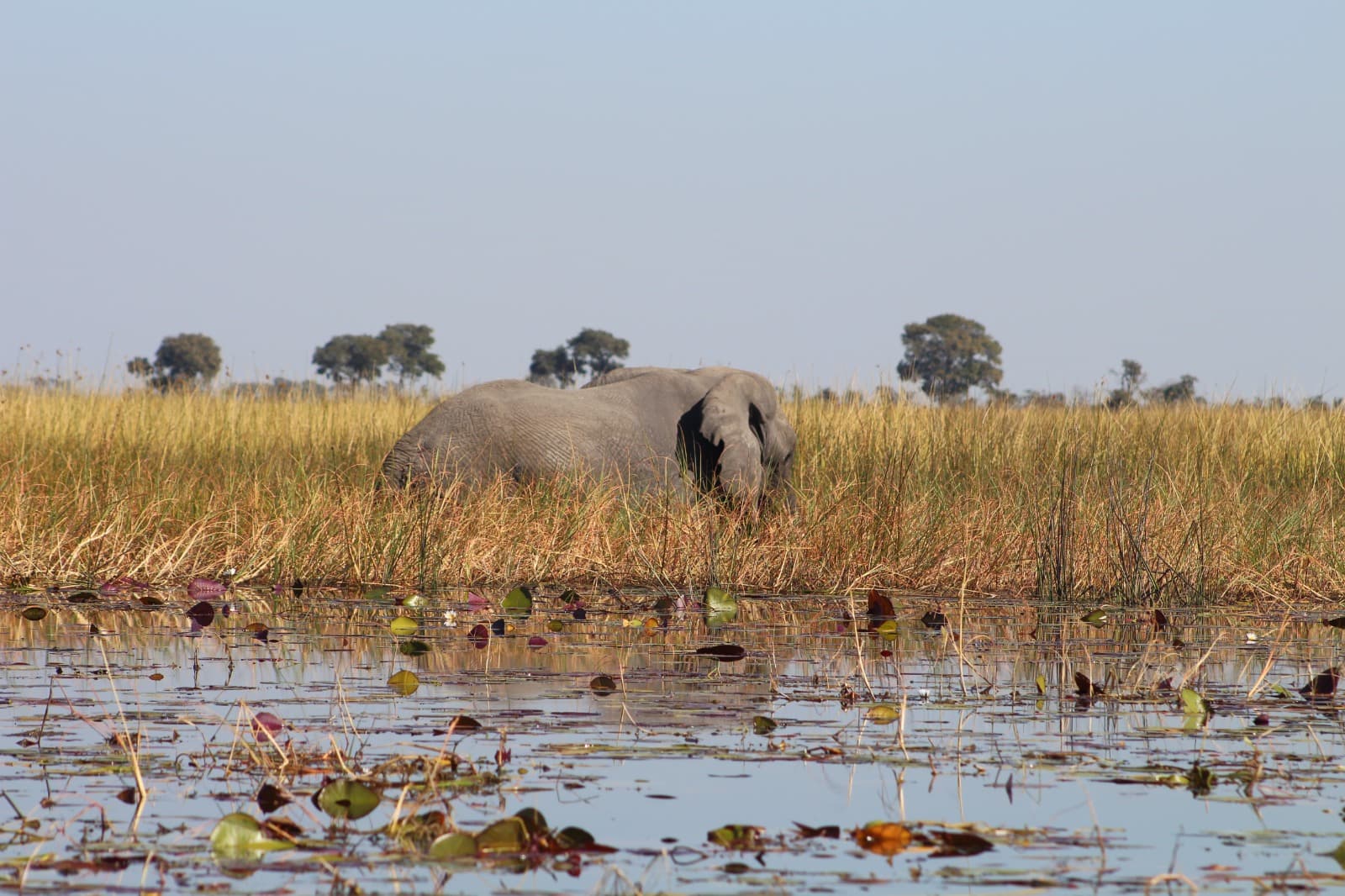 7 Day Safari Get Away photo 2